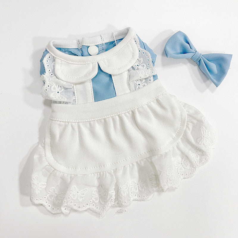 Cat Dress - Maid Style Lace - Blue / Pink - XS to XXL