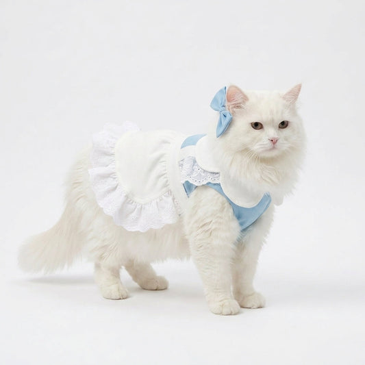 Cat Dress - Maid Style Lace - Blue / Pink - XS to XXL