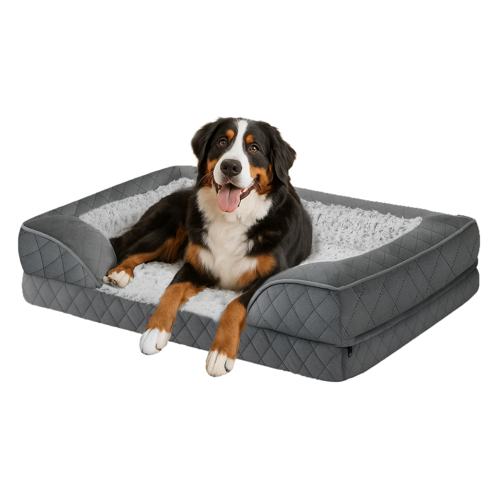 XXL Dog Bed Memory Foam